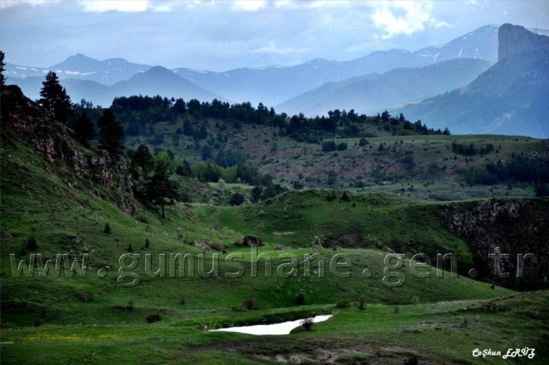 TEMA Vakfı Gümüşhane Dağlarında 2