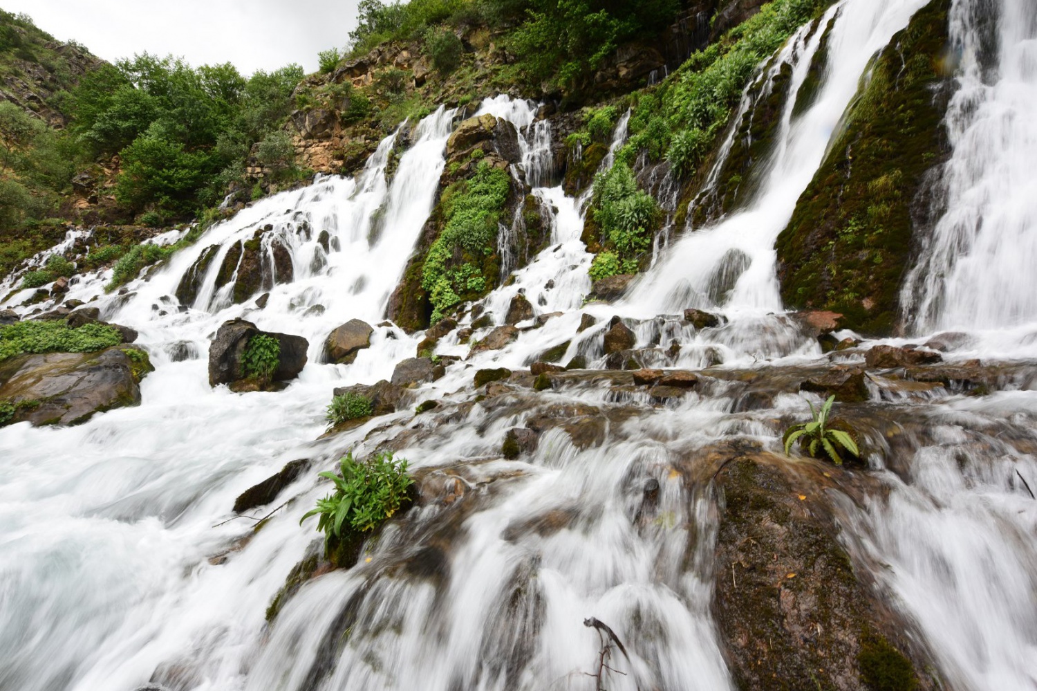 Tomara Şelalesi Tabiat Parkında tüm zamanların rekoru kırıldı 11