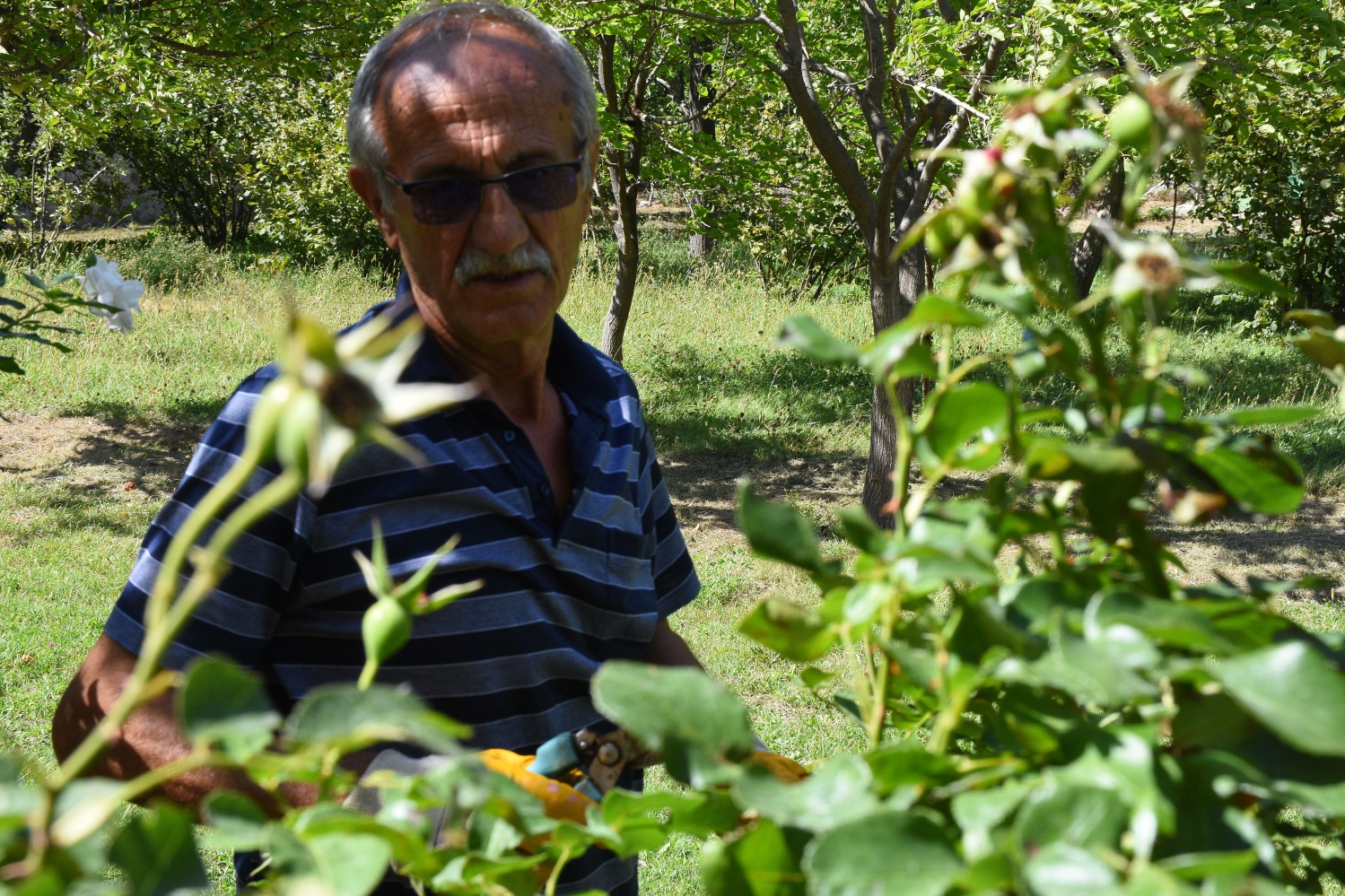 Gümüşhane’nin ‘Hışır’ Tezenesi Osman Nebioğlu 3