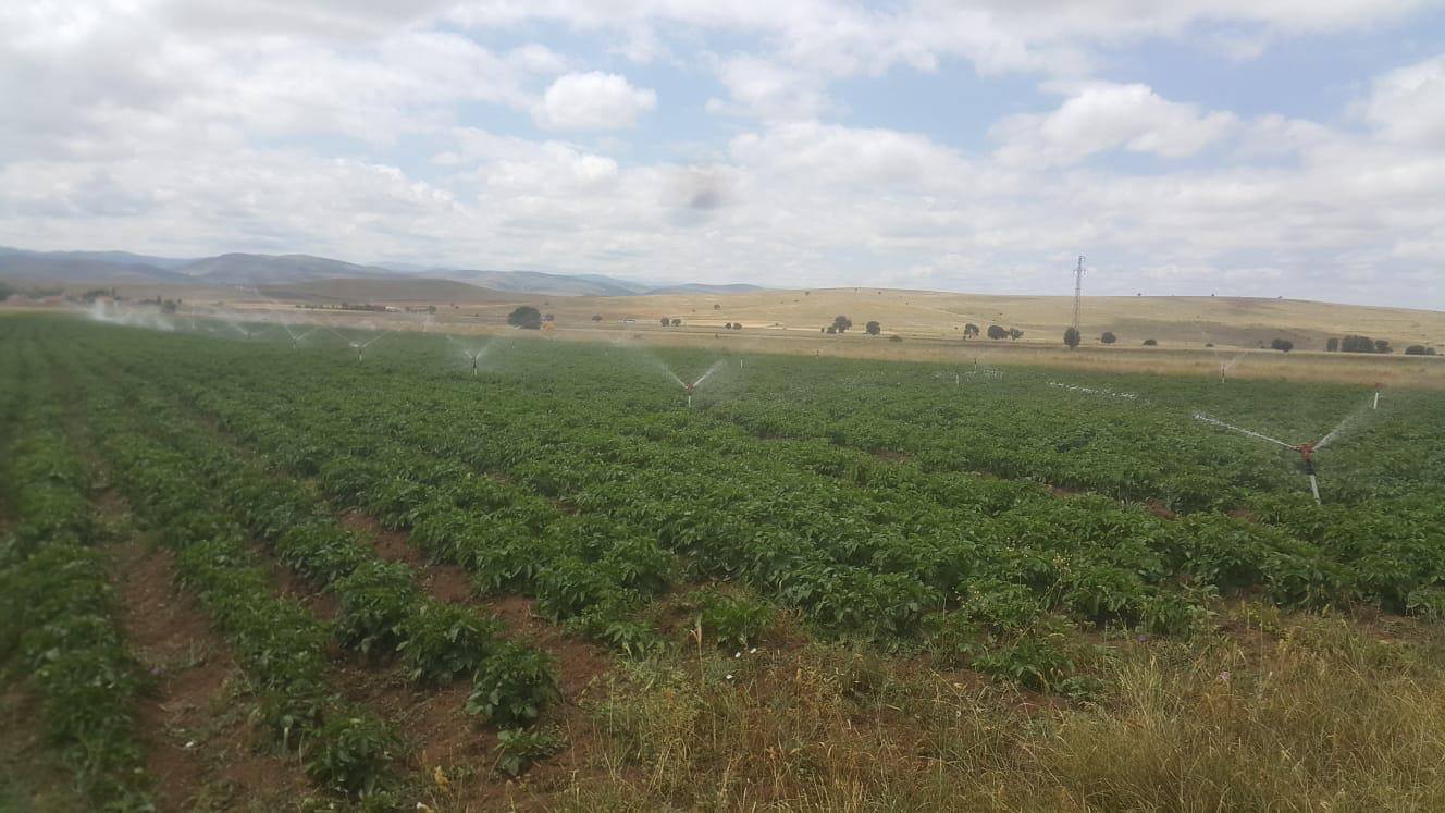 Köse’de topraklar suyla buluştu, verim kat be kat arttı 5