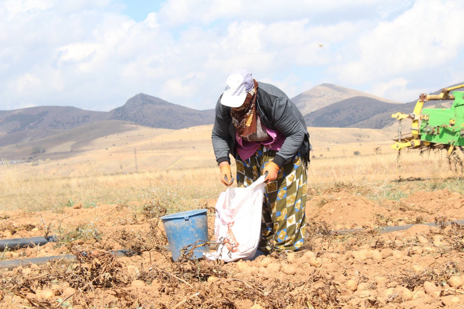 Köse’de topraklar suyla buluştu, verim kat be kat arttı 2