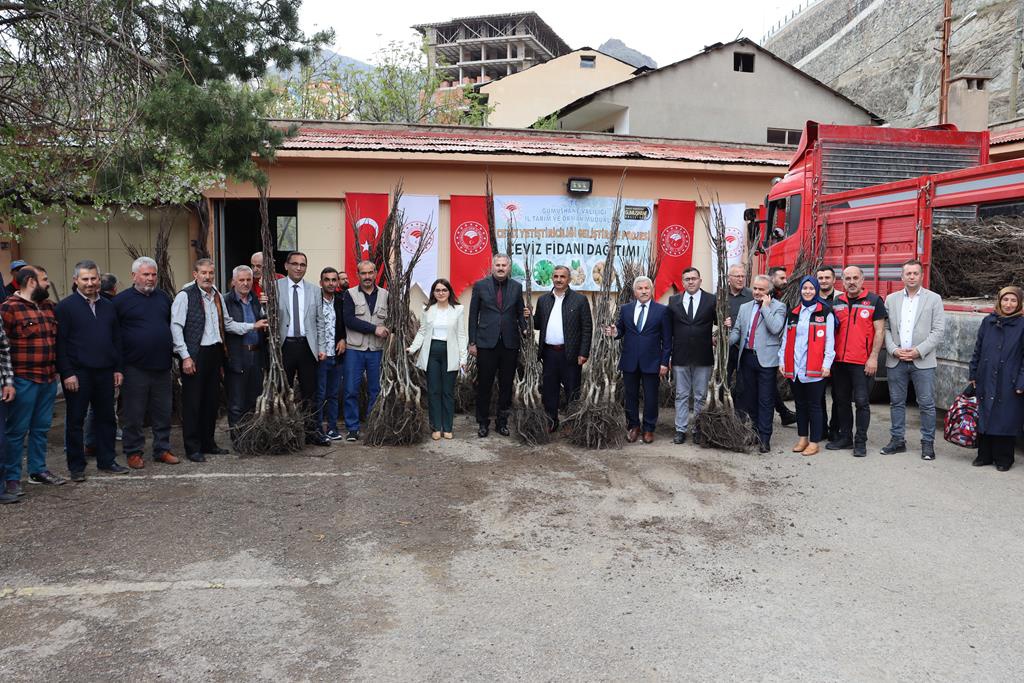 Gümüşhane’de üreticilere 11 bin 770 adet ceviz fidanı dağıtıldı 2