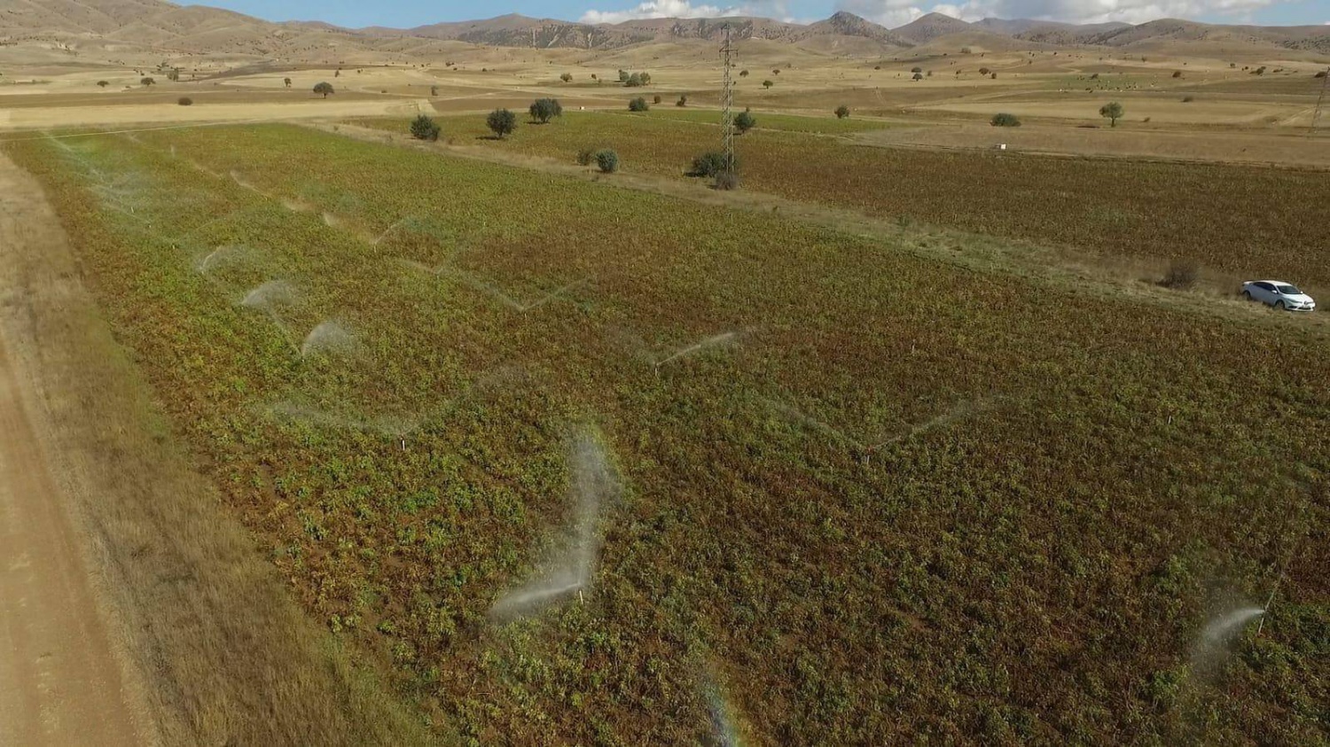 Köse’de topraklar suyla buluştu, verim kat be kat arttı 7