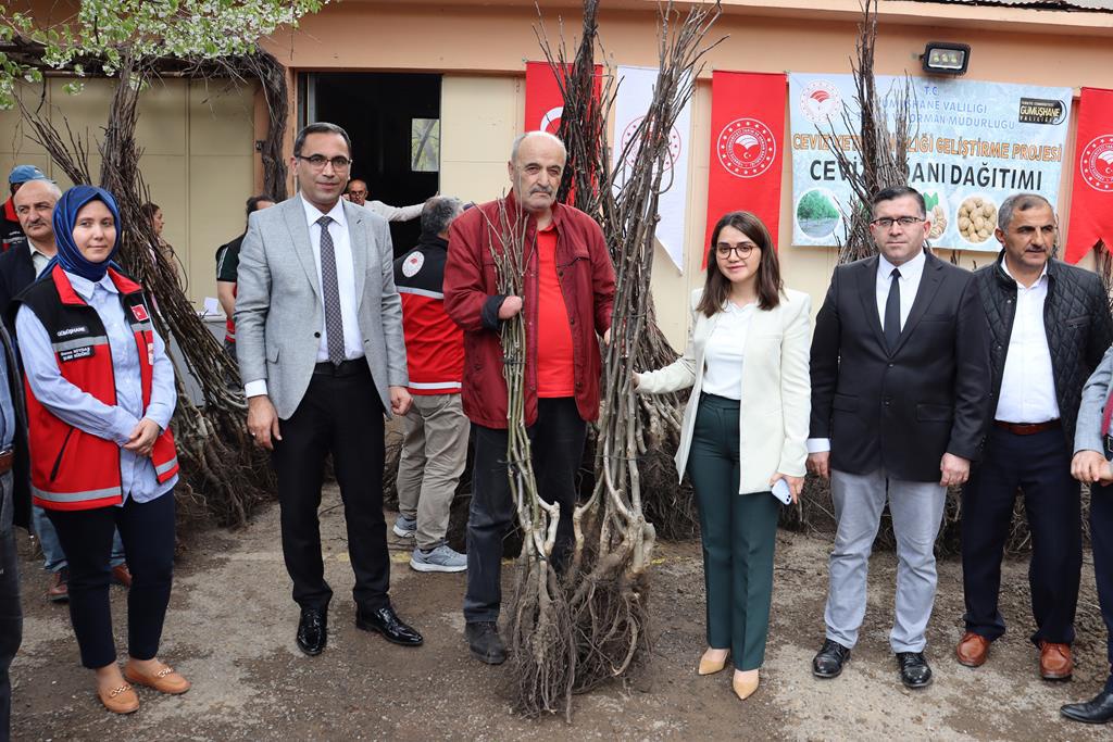 Gümüşhane’de üreticilere 11 bin 770 adet ceviz fidanı dağıtıldı 3