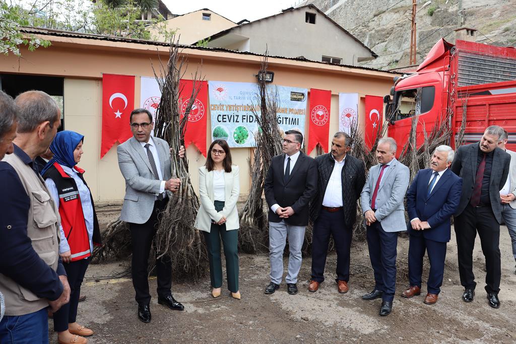 Gümüşhane’de üreticilere 11 bin 770 adet ceviz fidanı dağıtıldı 7