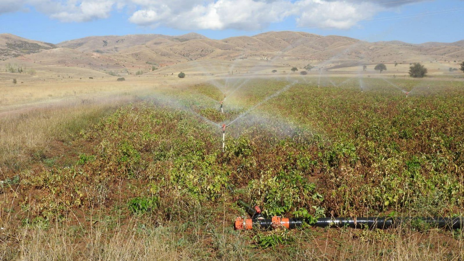 Köse’de topraklar suyla buluştu, verim kat be kat arttı 11