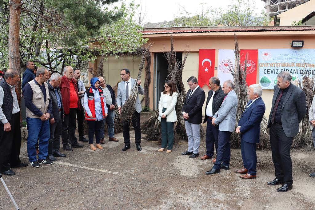 Gümüşhane’de üreticilere 11 bin 770 adet ceviz fidanı dağıtıldı 6