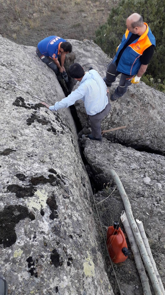 Yavru keçi için seferberlik 5