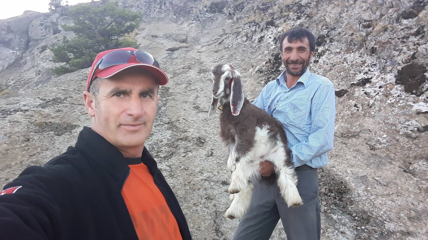 Yavru keçi için seferberlik 2