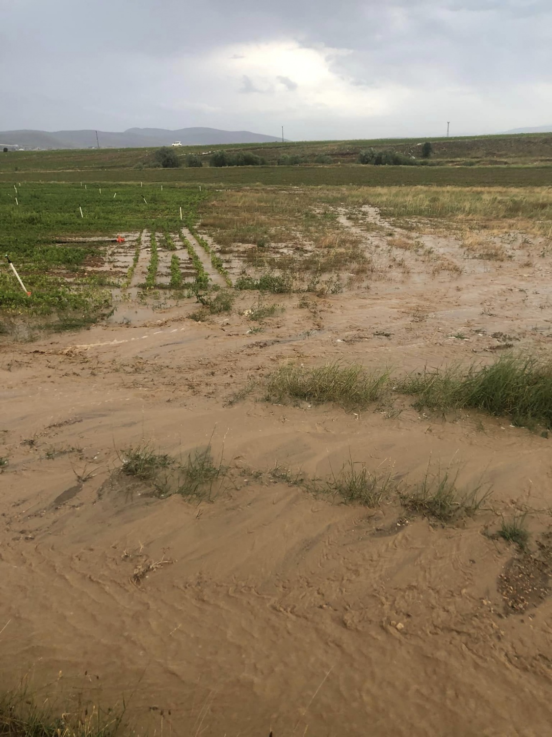 Sel bu kez Köse’yi vurdu 1