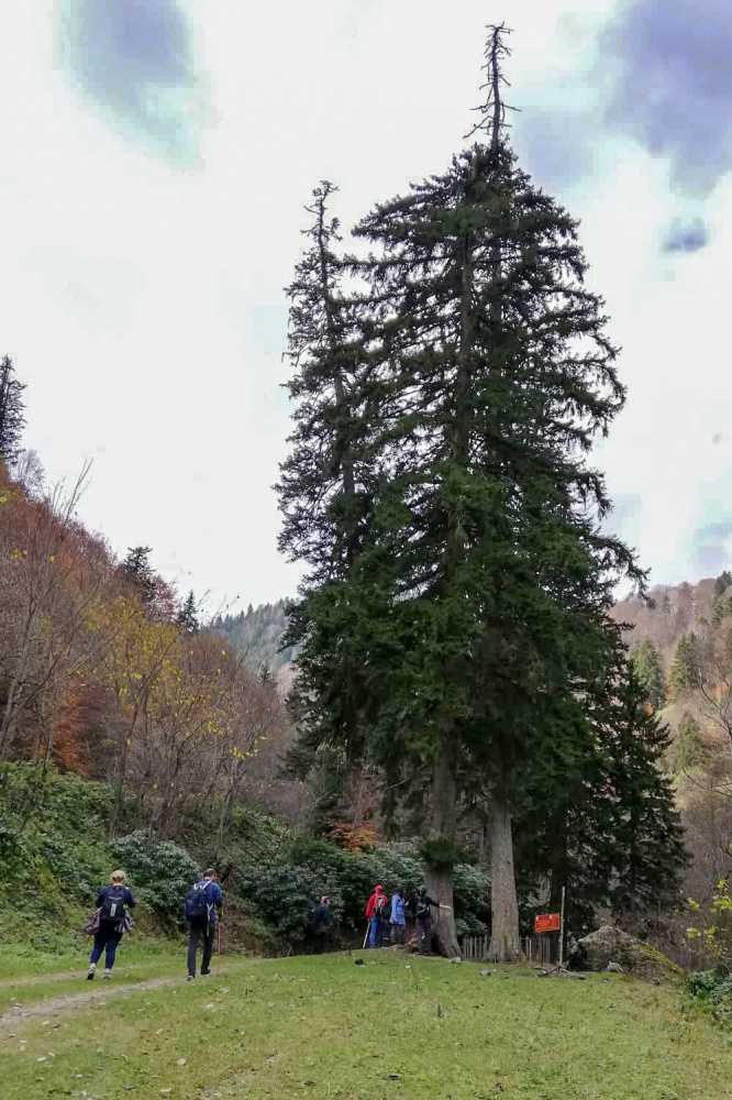 Gümüşhaneli dağcılardan renk cümbüşünde yürüyüş 1