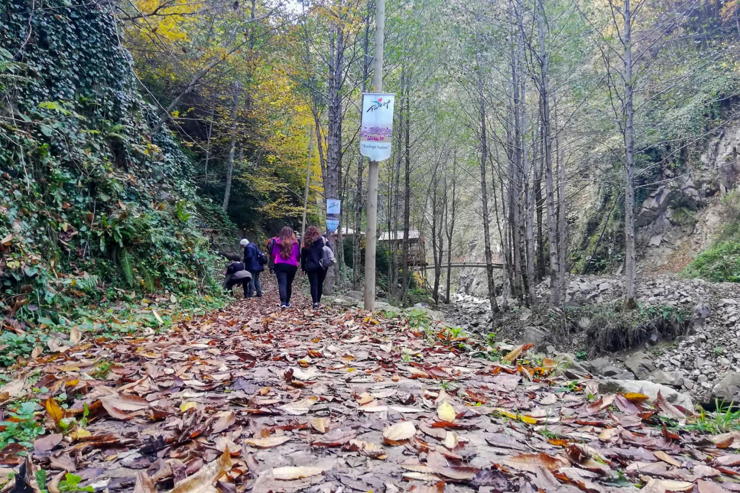 Gümüşhaneli dağcılardan renk cümbüşünde yürüyüş 5