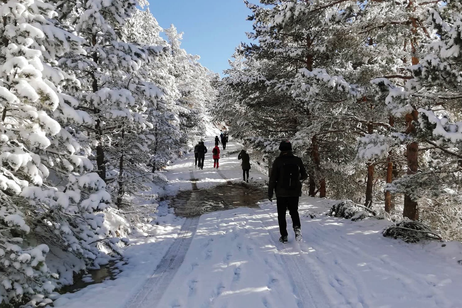 Gümüşhaneli dağcılardan tarihi ipek yolunda beyaz yürüyüş 7