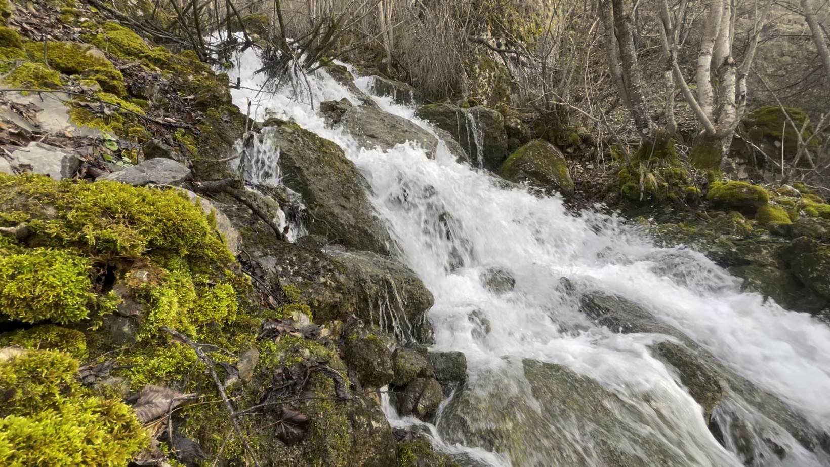 Gümüşhane'nin gizemli su kaynakları: Baharda çıkıp yazın kayboluyor 6