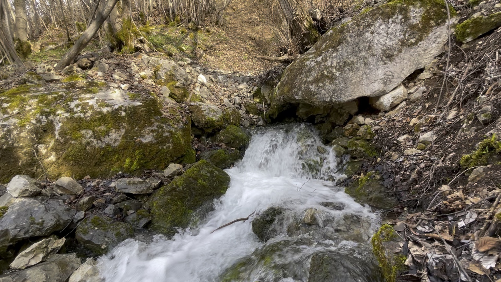 Gümüşhane'nin gizemli su kaynakları: Baharda çıkıp yazın kayboluyor 10