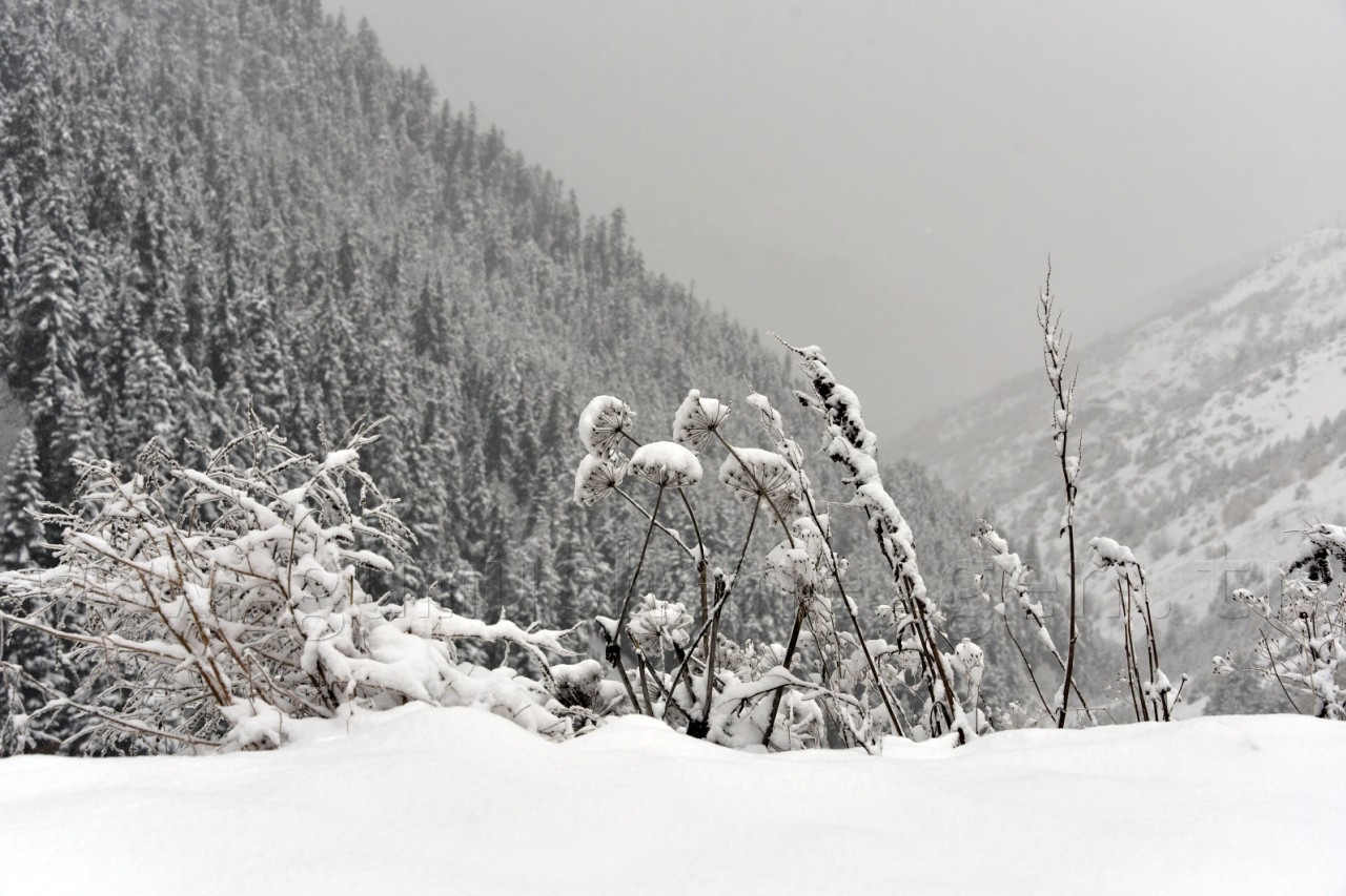 Zigana Geçidi'nde Kar Kalınlığı 10 Santimetreyi Geçti 10
