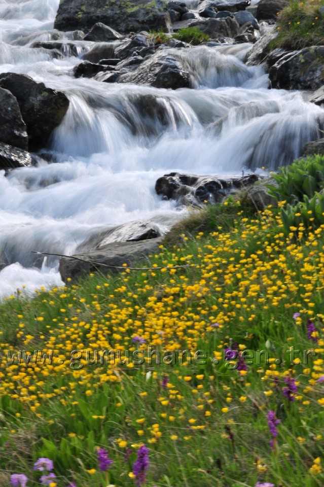 Gümüşhane'nin Turizm İstatistikleri Açıklandı 4