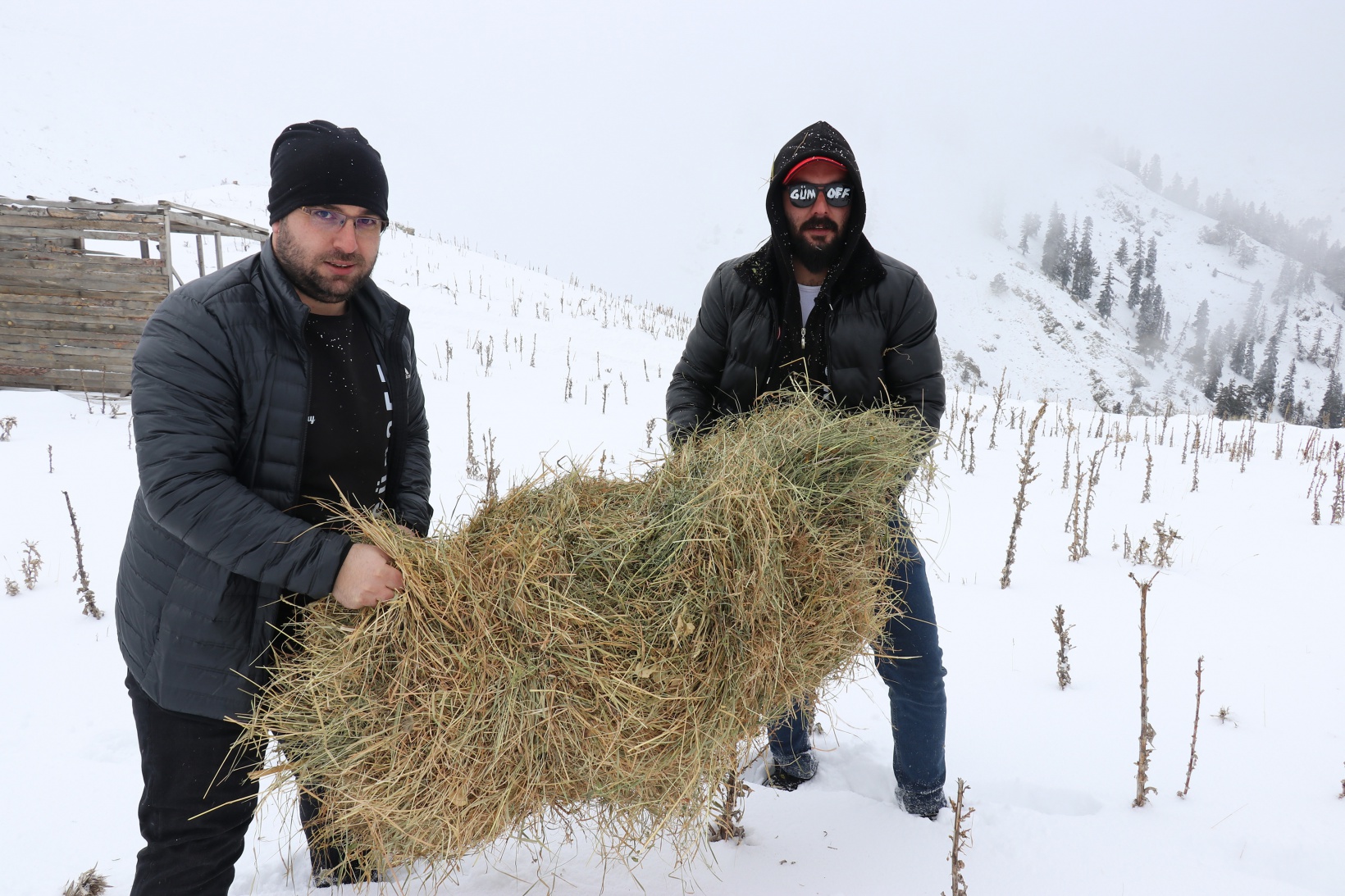 Zorlu yolları bu kez yaban hayvanları için aştılar 6