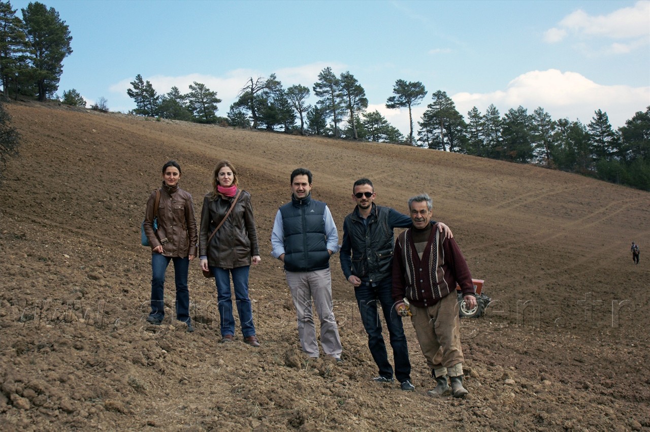 Gümüşhane'de Keklik Popülasyonu Artıyor 4