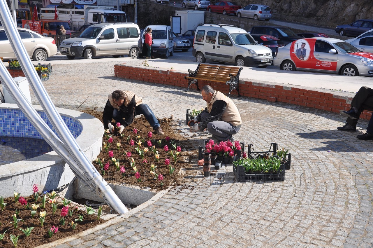 Gümüşhane'de Rengarenk Çiçeklerle Erken Bahar Havası 2