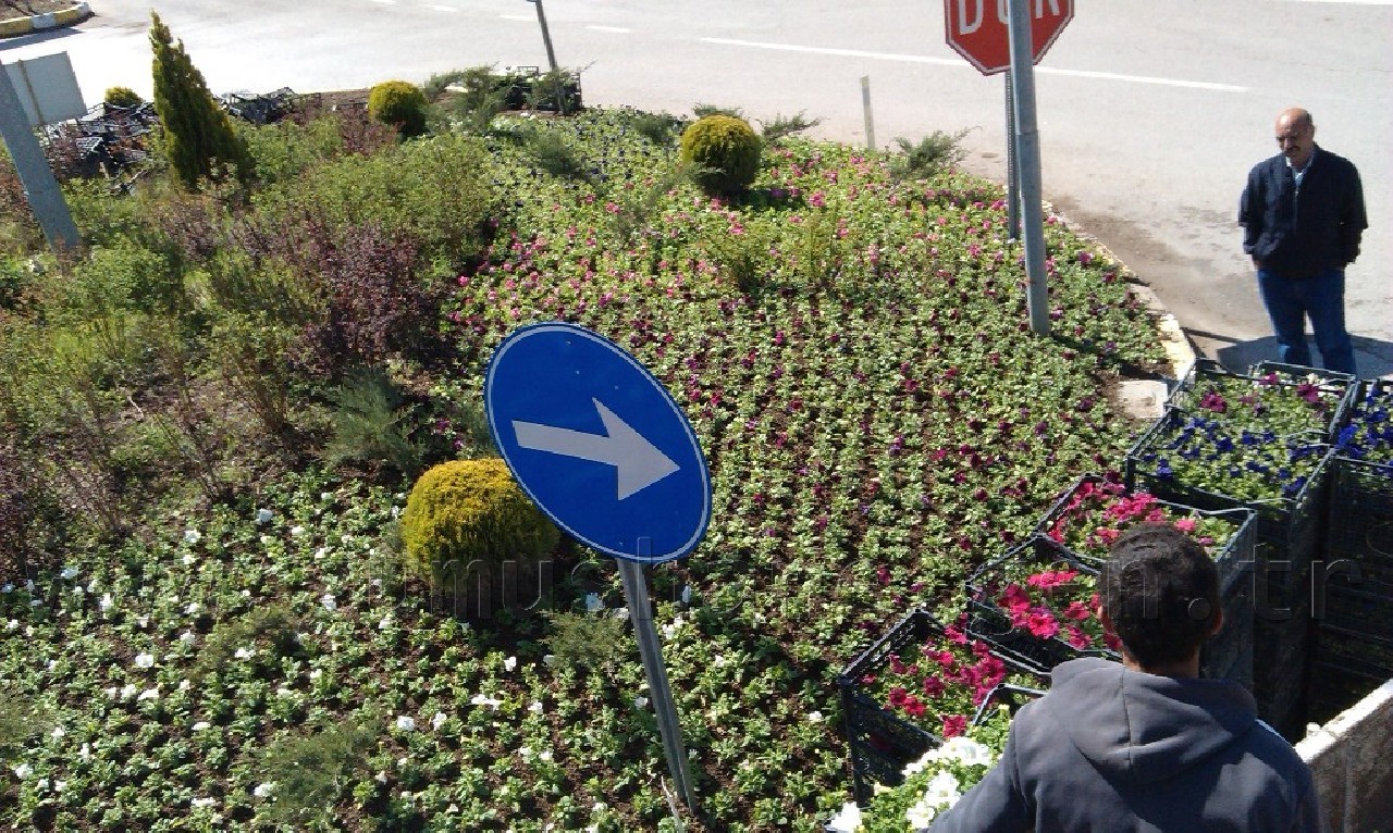 Gümüşhane'ye 50 Bin Çiçek 4