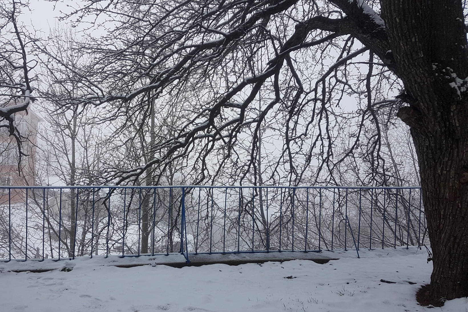 Gümüşhane'nin yüksek kesimlerinde kar yağışı başladı 6