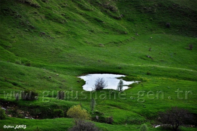 TEMA Vakfı Gümüşhane Dağlarında 3
