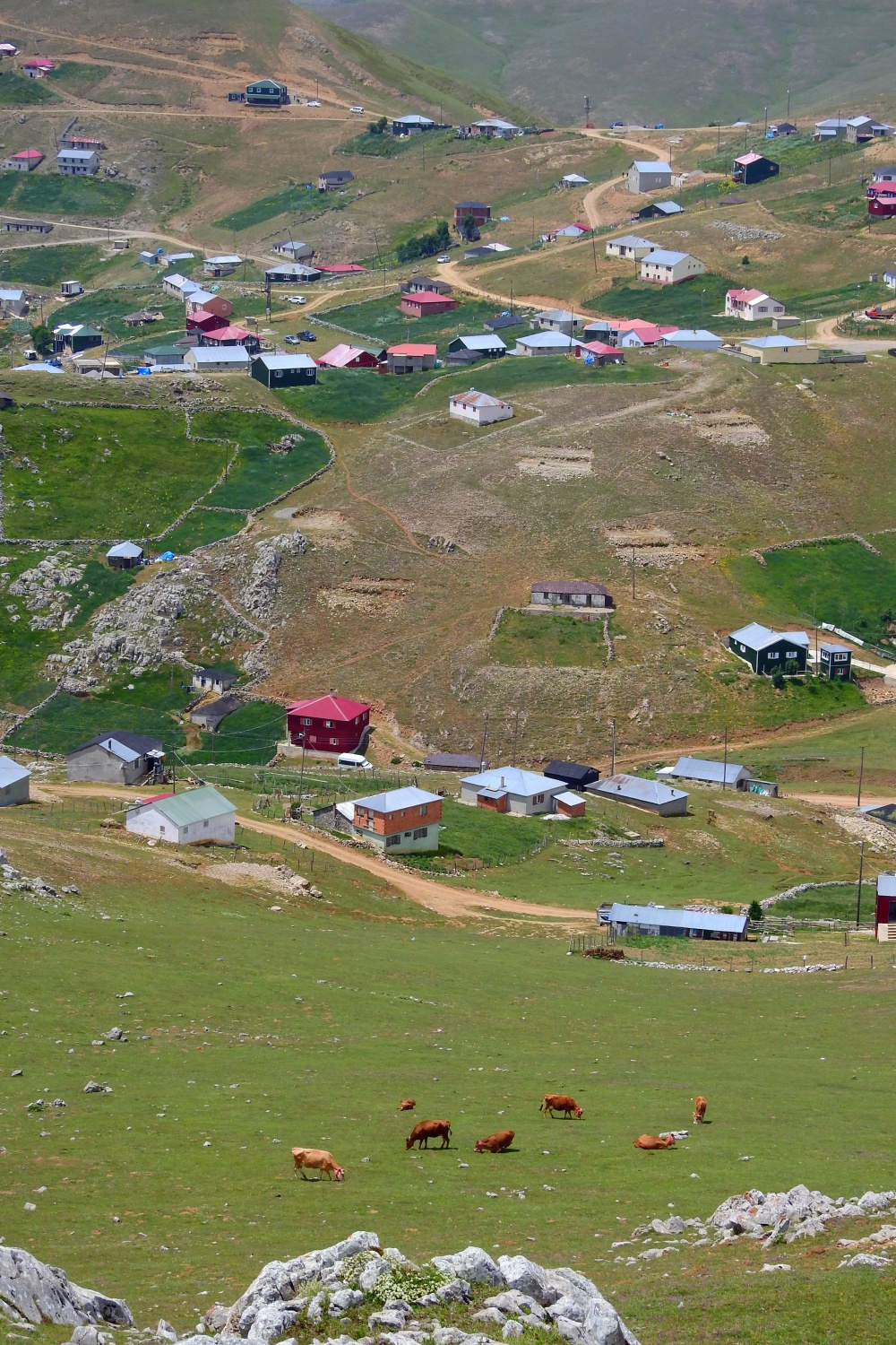 Gümüşhaneli dağcılar Kadırga Yaylasına çıkarma yaptı 2