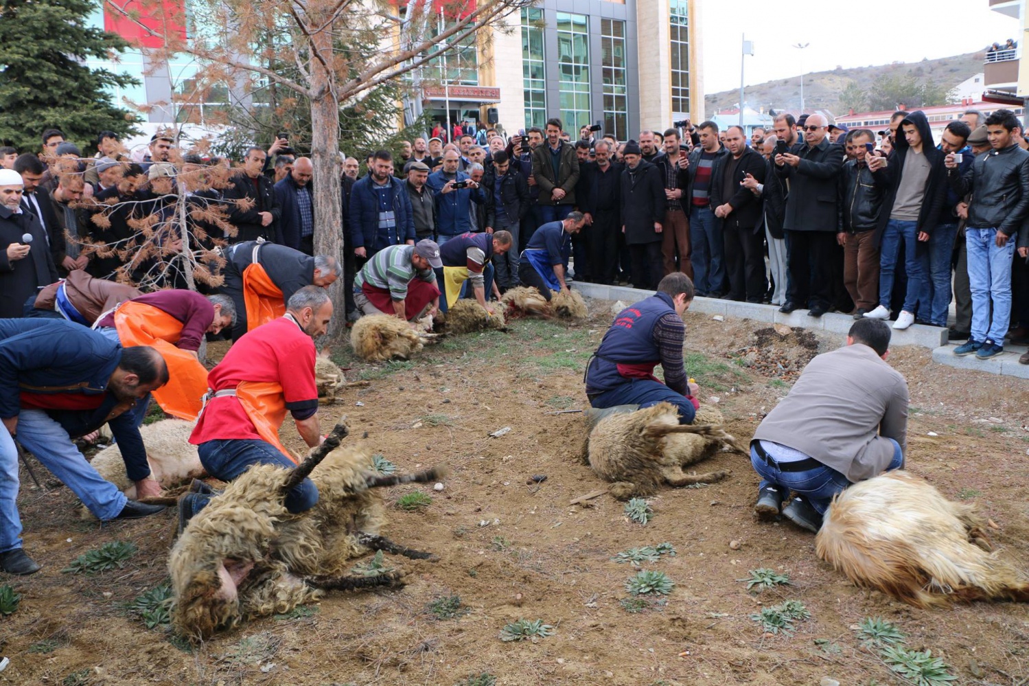 Başkan Özel, mazbatayı Aldı 11