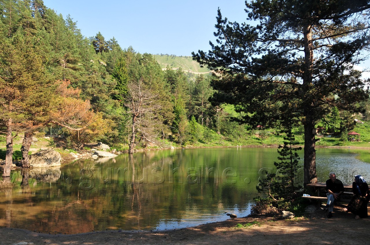 Limni Gölüne Ahşap Kır Evleri Yapılacak 3