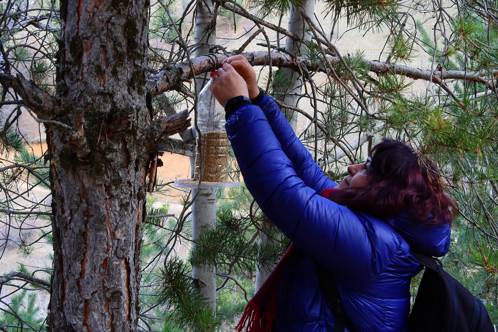 Gümüşhaneli dağcılar Sarıkamış Şehitleri için yürüdü 15