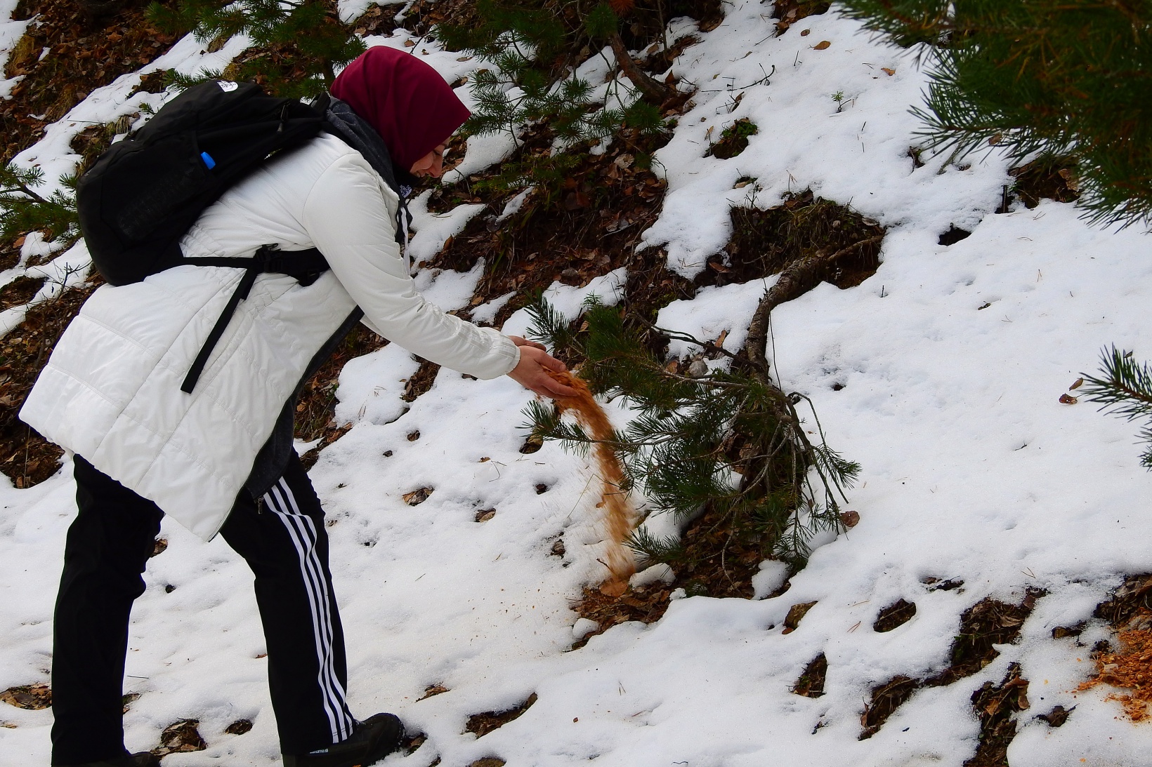 Gümüşhaneli dağcılar Sarıkamış Şehitleri için yürüdü 1