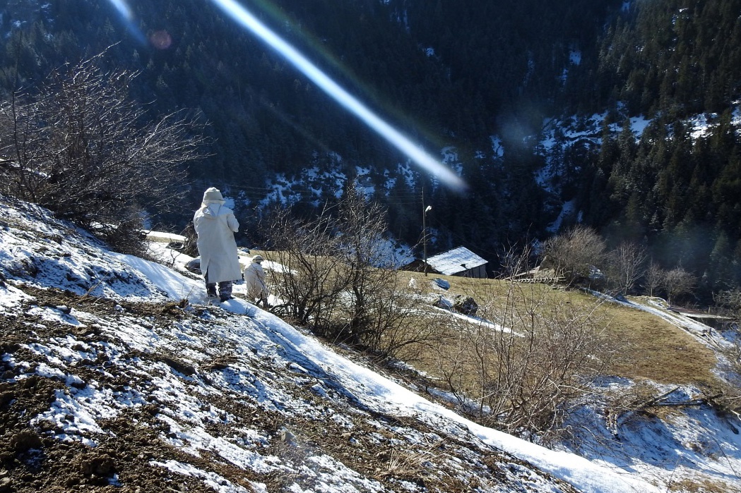 Gümüşhane yaylalarında terörle mücadele devam ediyor 5