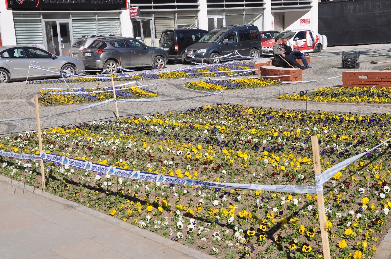 Gümüşhane'de Rengarenk Çiçeklerle Erken Bahar Havası 3