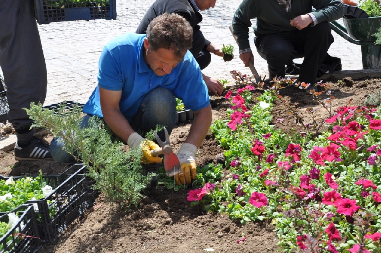 Gümüşhane'ye 50 Bin Çiçek 5