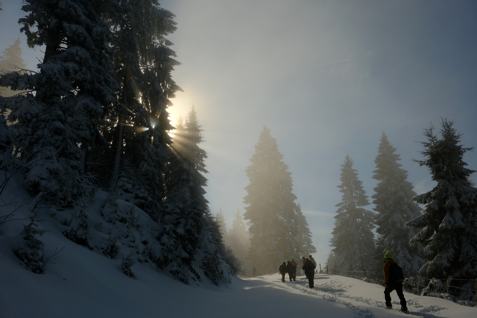 Tohtamur Yaylasında masalsı kış yürüyüşü 11