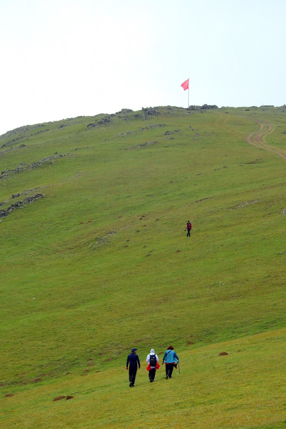 Gümüşhaneli dağcılar Kadırga Yaylasına çıkarma yaptı 12