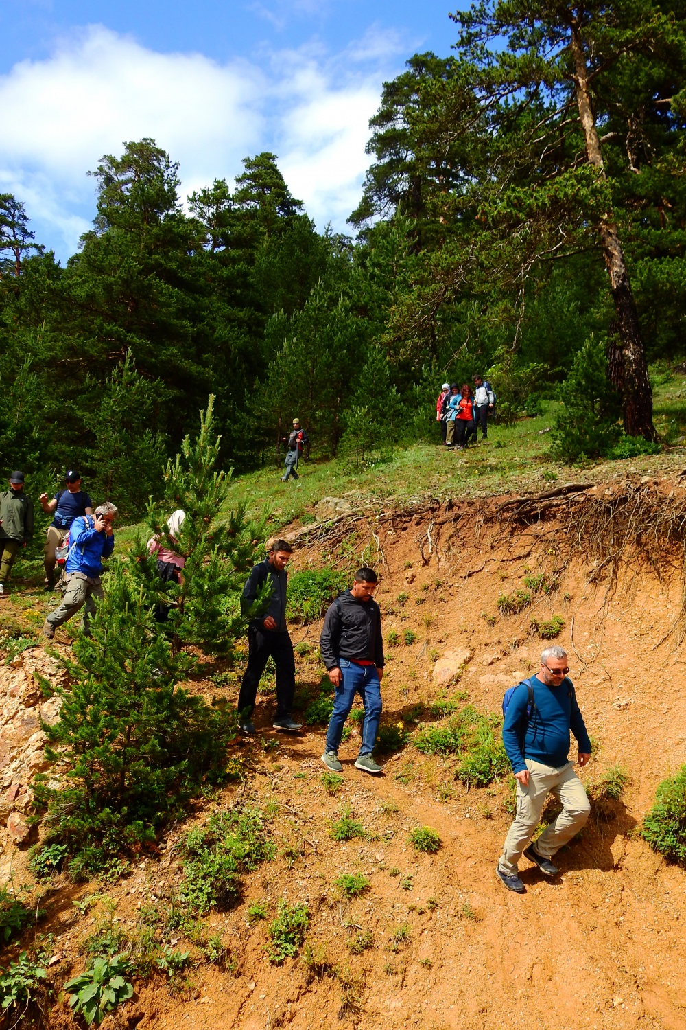 Gümüşhaneli dağcılar Kadırga Yaylasına çıkarma yaptı 18