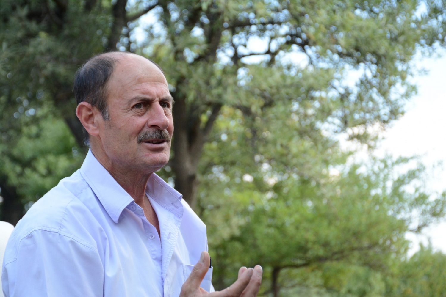 Gümüşhane’de bal verimi son 10 yılın en düşük seviyesinde 10