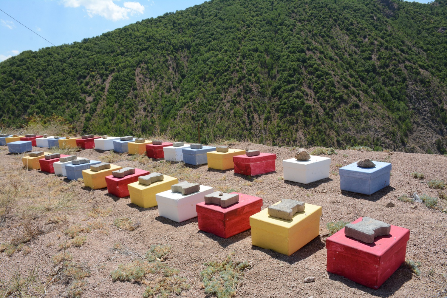 Gümüşhane’de bal verimi son 10 yılın en düşük seviyesinde 4