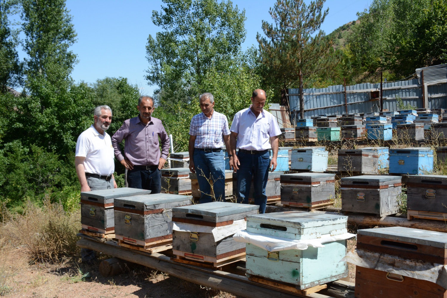 Gümüşhane’de bal verimi son 10 yılın en düşük seviyesinde 7