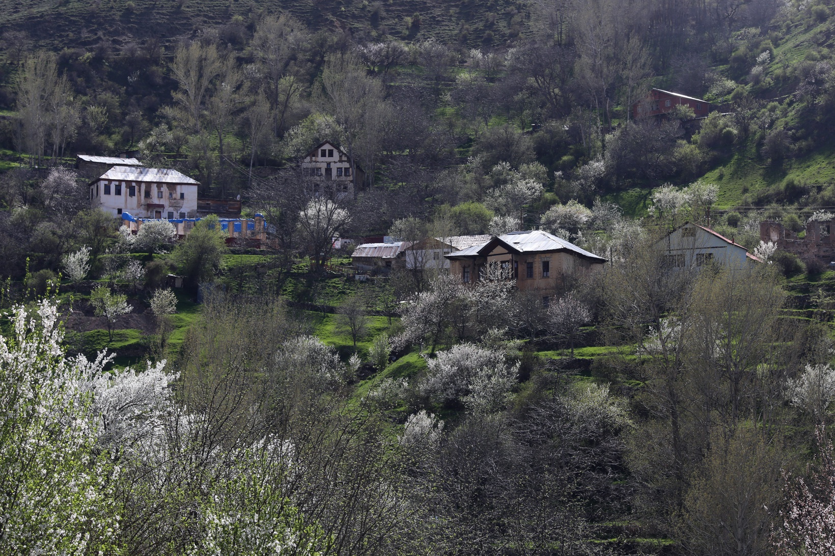 Tarihi mahalle bahar renklerine büründü, görsel şölen oluştu 12