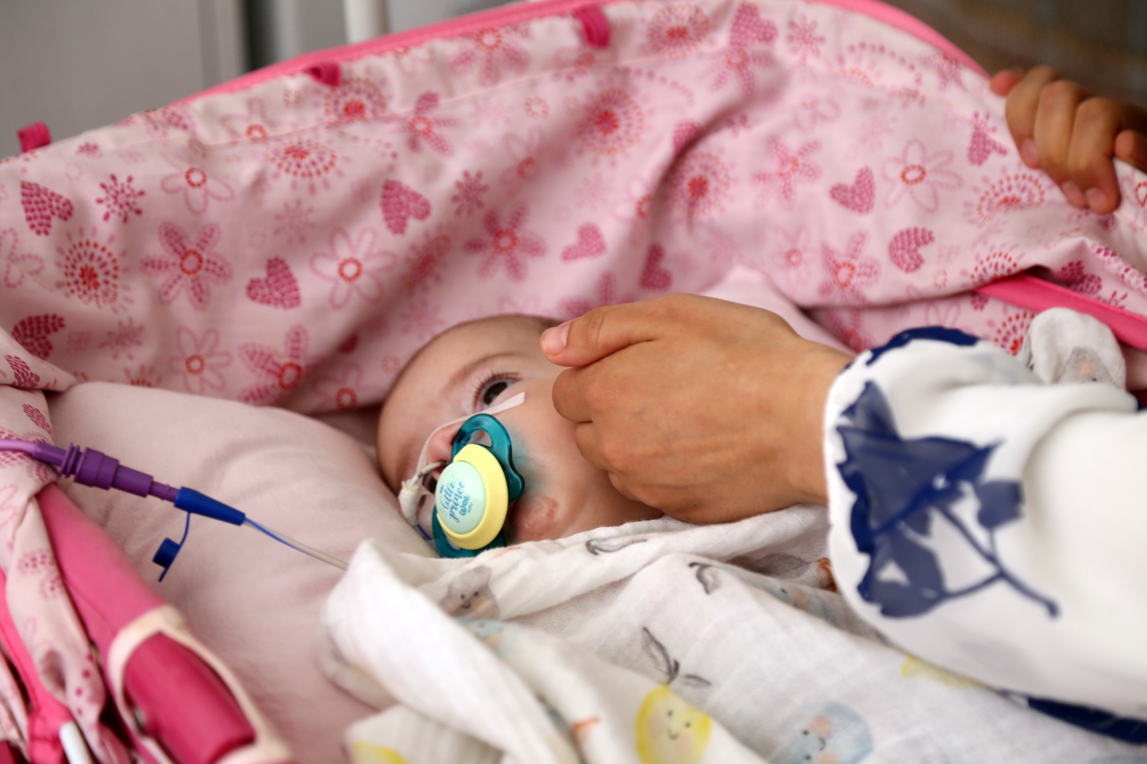 Gelin bu bayram Yunus Emre’ye nefes olalım 1