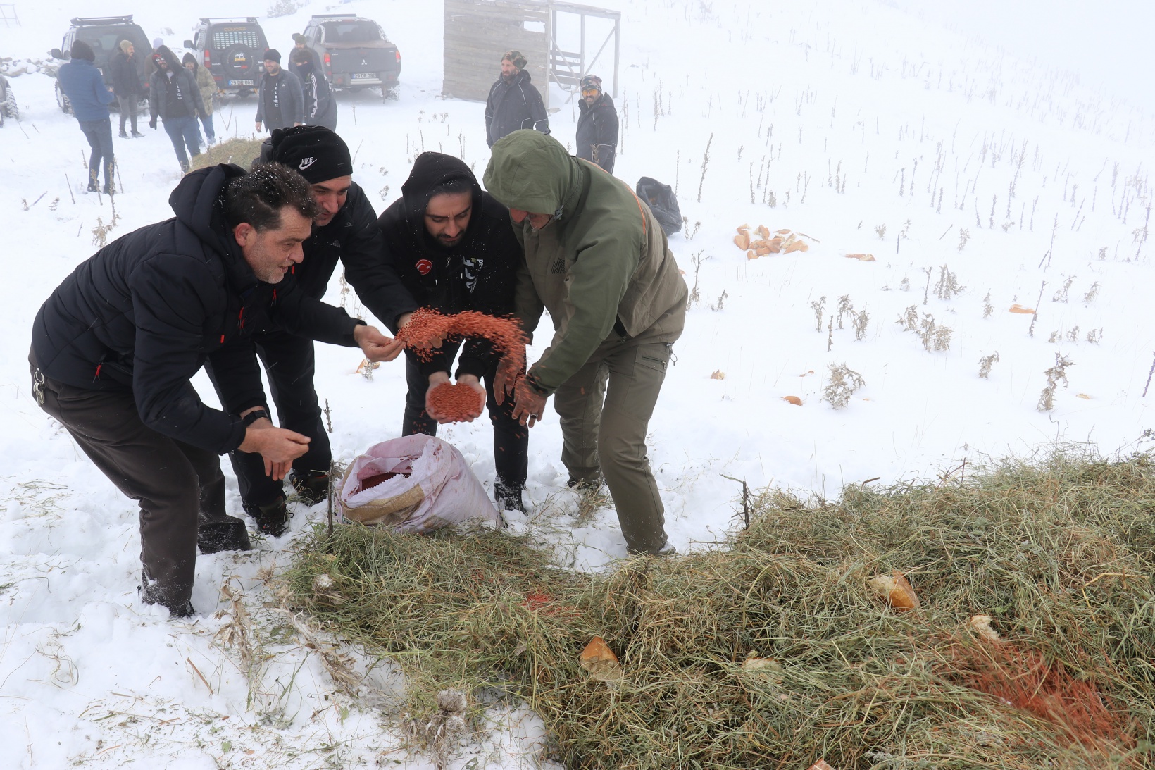 Zorlu yolları bu kez yaban hayvanları için aştılar 27