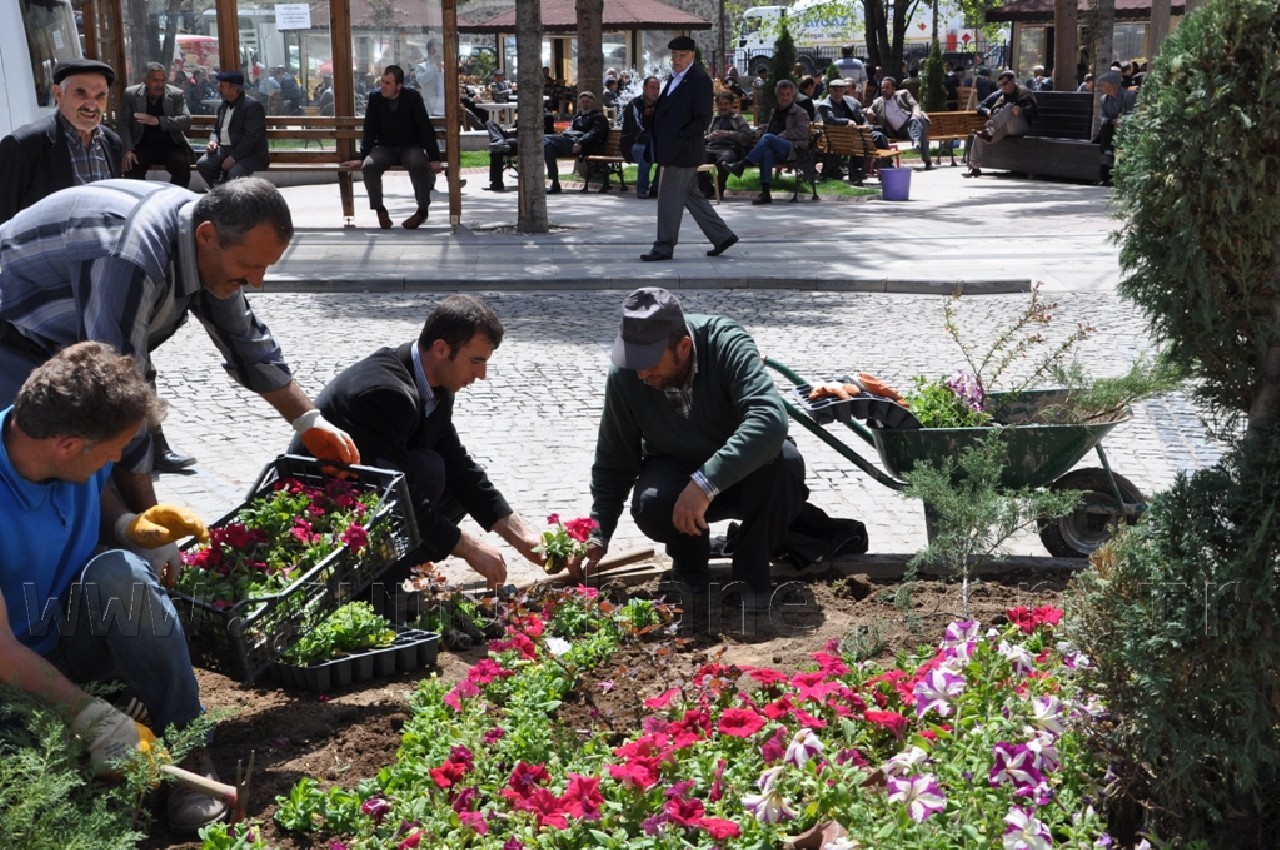 Gümüşhane'ye 50 Bin Çiçek 6