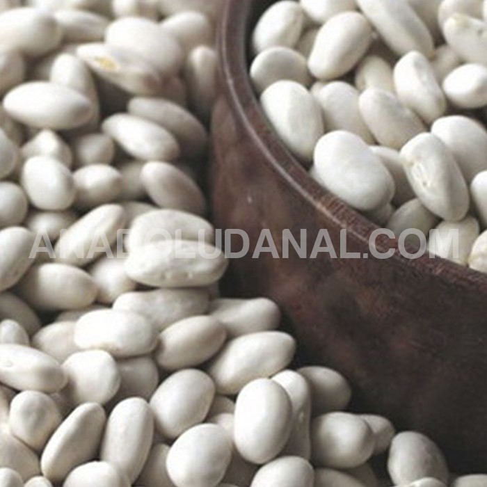 Kelkit'in ilk ve tek online alışveriş sitesi açıldı 7