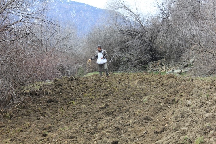 Benim köyümde de Keklik ötsün diyenler dikkat! 6