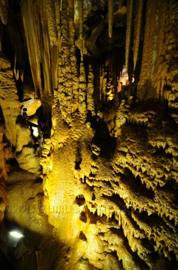 Karaca Mağarasına Ziyaretçi Akını 6