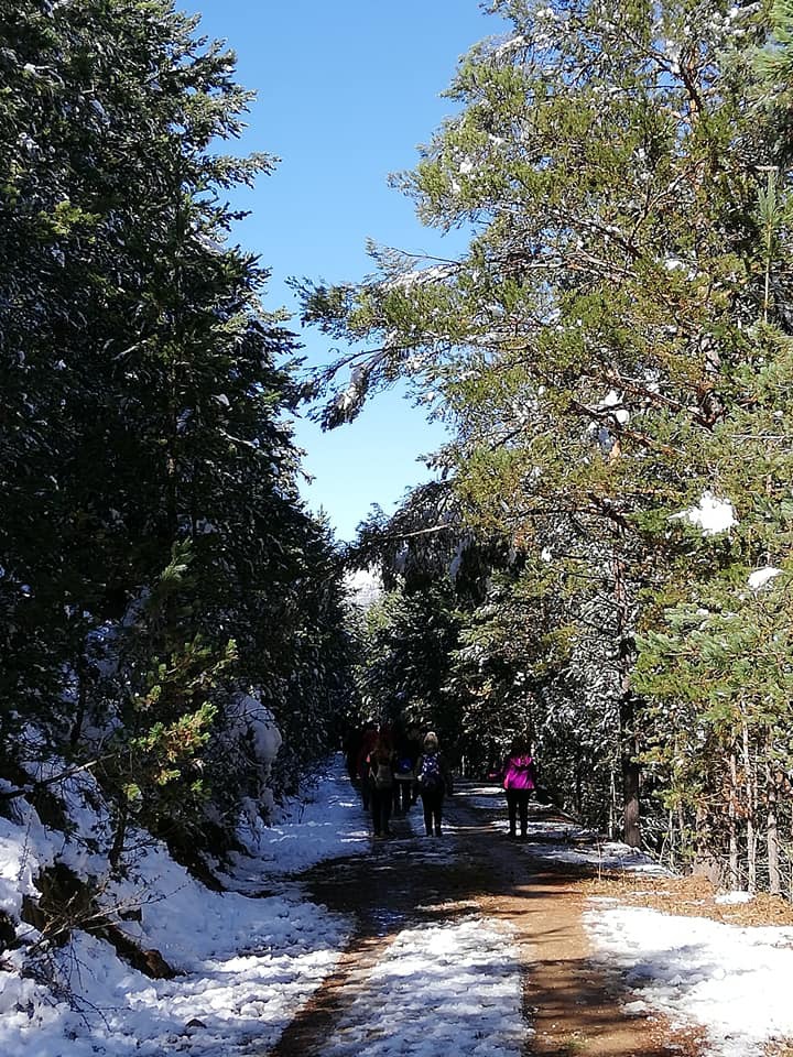 Gümüşhaneli dağcılar Zigana’da sonbahar ve kışı bir arada yaşadı 1
