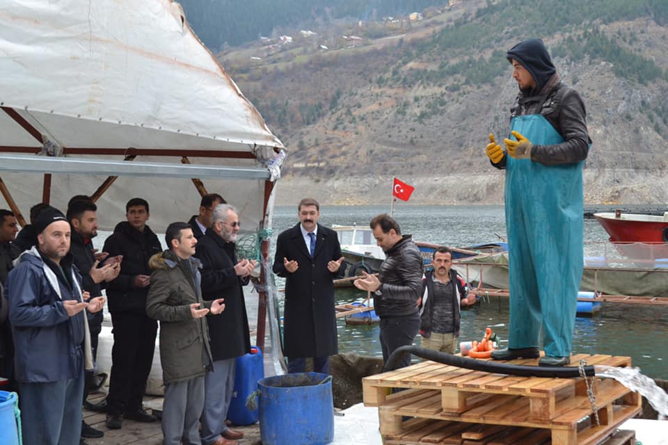 Kaymakam Karakaş, alabalık hasadına katıldı 7